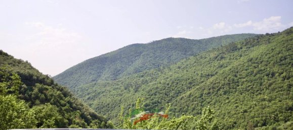 3 rooms Villa in Badalucco, Italy No. 136460 9