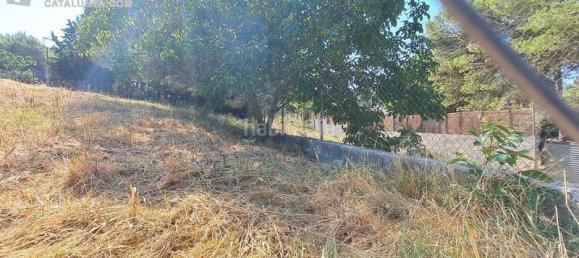 Земельный участок 611м² в Терраса, Испания № 141603 16