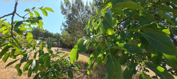 Земельный участок 611м² в Терраса, Испания № 141603 4