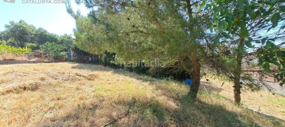 Земельный участок 611м² в Терраса, Испания № 141603 3