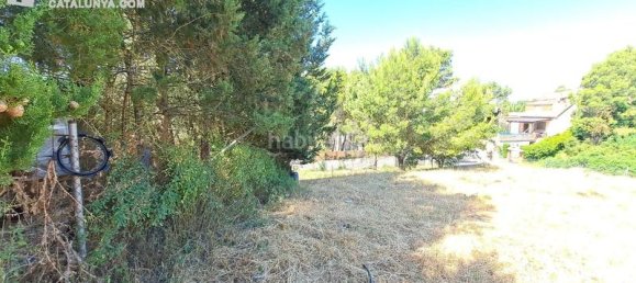 Земельный участок 611м² в Терраса, Испания № 141603 13