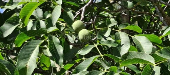 Земельный участок 611м² в Терраса, Испания № 141603 7