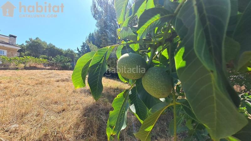 Земельный участок 611м² в Терраса, Испания № 141603