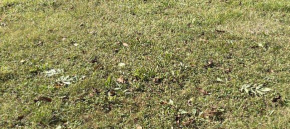 Terreno en Paudorf, Austria 688 m² No. 222738 5