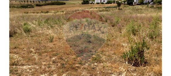 Terrain à Torres Vedras, Portugal 5605m² No. 78757 10