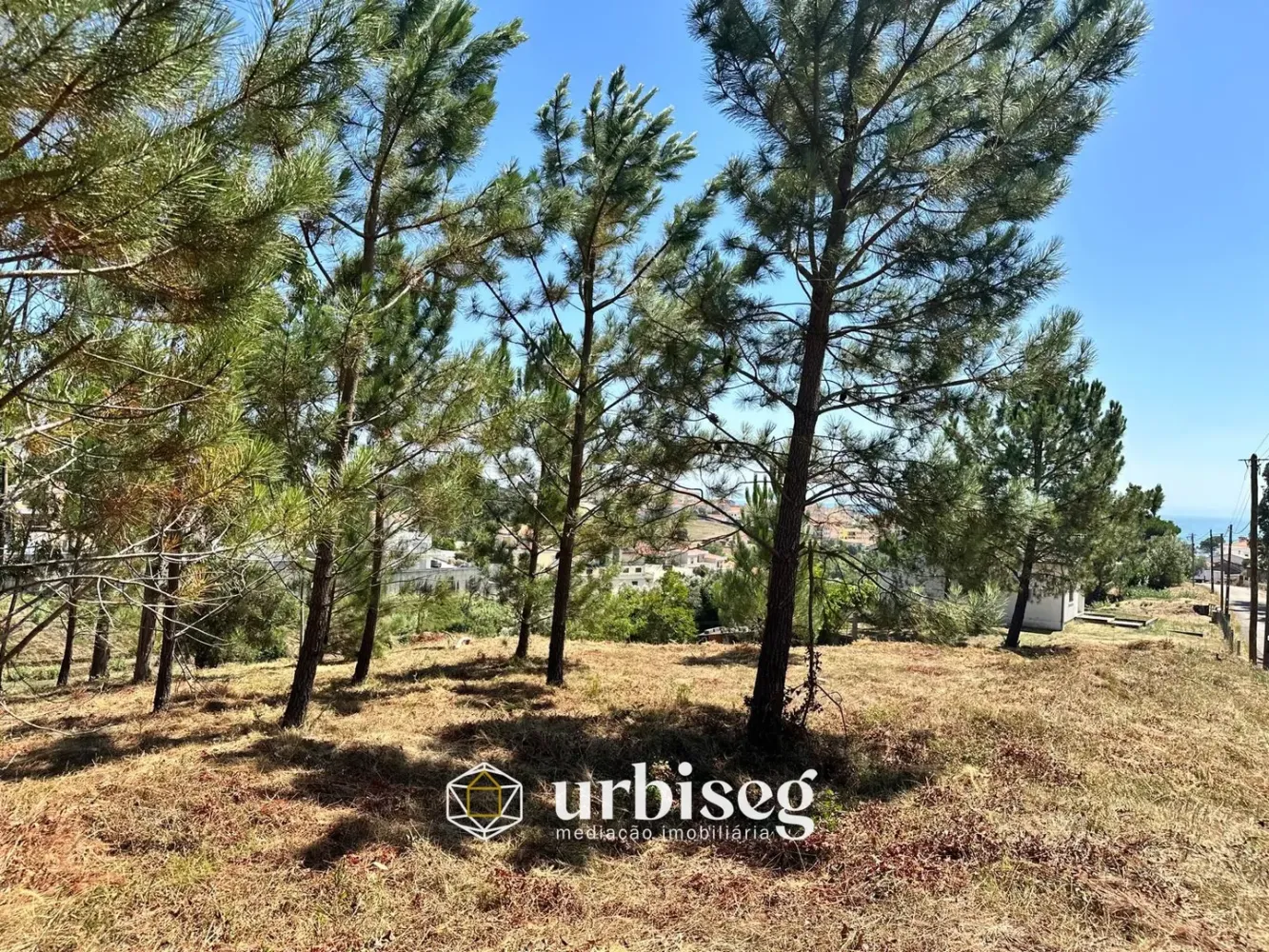  Land in Figueira da Foz, Portugal No. 289564