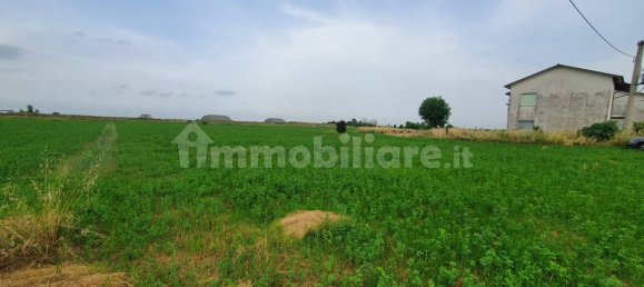 3 bedrooms Villa in Cervia, Italy No. 155278 14