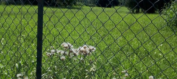 5600m² Land in Montesilvano, Italy No. 70191 5