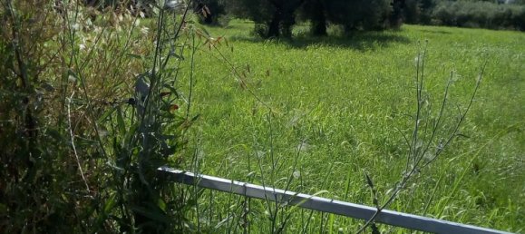 5600m² Land in Montesilvano, Italy No. 70191 9