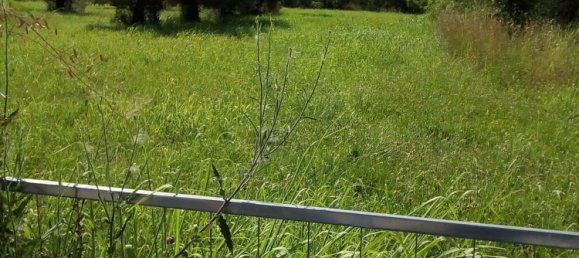 5600m² Land in Montesilvano, Italy No. 70191 8