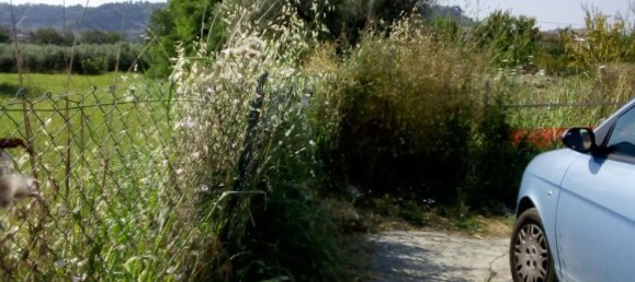 5600m² Land in Montesilvano, Italy No. 70191 6