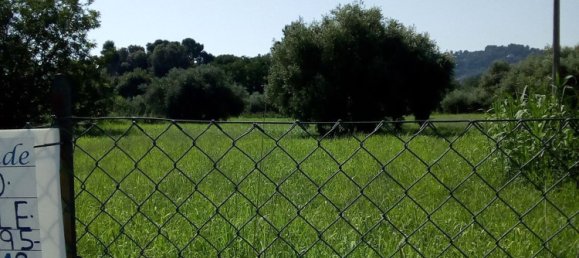 5600m² Land in Montesilvano, Italy No. 70191 18