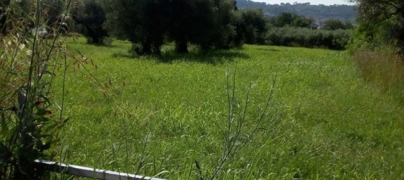 5600m² Land in Montesilvano, Italy No. 70191 7