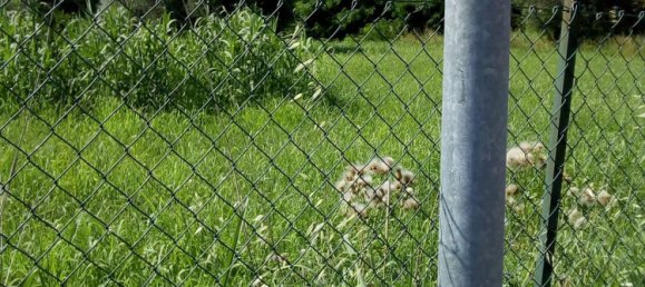 5600m² Land in Montesilvano, Italy No. 70191 16