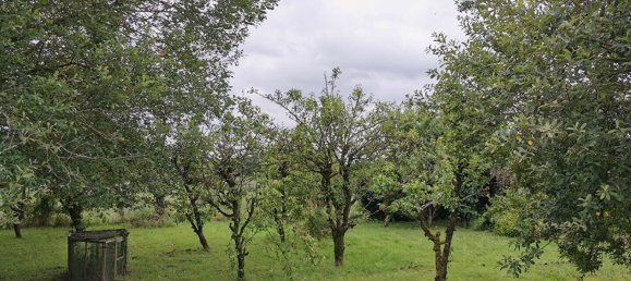 3 bedrooms House in Mayenne, France No. 357639 3