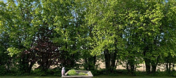  Land in Holzhausen, Austria No. 14709 31