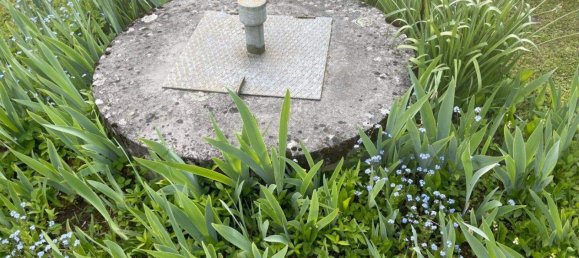  Land in Holzhausen, Austria No. 14709 10