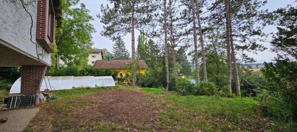 4-Zimmer Haus in Gaweinstal, Austria, Nr. 259026 24