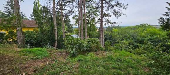 4-Zimmer Haus in Gaweinstal, Austria, Nr. 259026 25