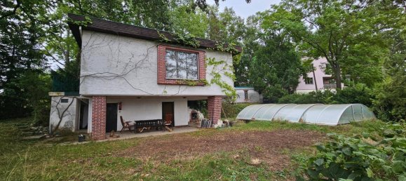 4-Zimmer Haus in Gaweinstal, Austria, Nr. 259026 4