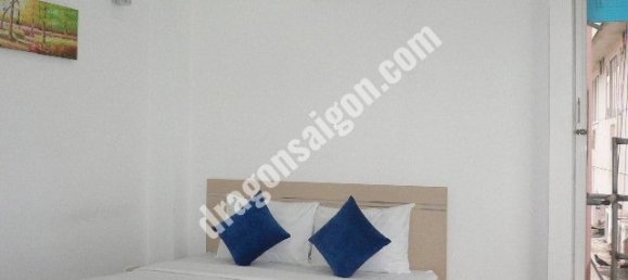 30m² Apartment in District 1, Vietnam No. 10858 3