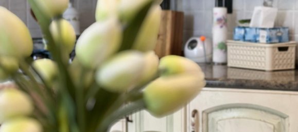 5-Zimmer Haus in Empoli, Italy, Nr. 44509 11