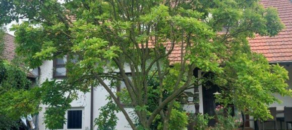 Casa de 5 divisões em Edelstal, Austria N.º 249248 25