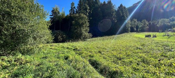  قطعة أرض في Grossraming, Austria 47207متر مربع رقم 226771 4