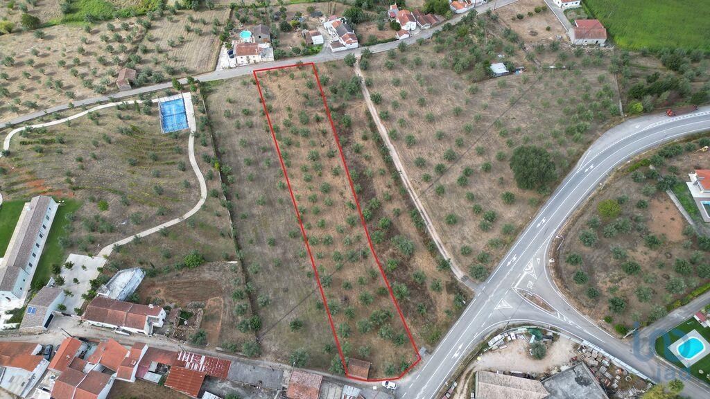 3186m² Land in Penela, Portugal No. 351516