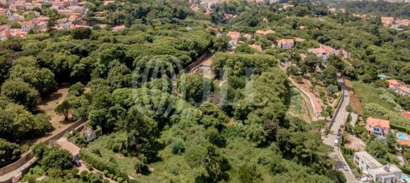 9640m² Land in Sintra, Portugal No. 144979 12