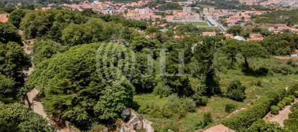 9640m² Land in Sintra, Portugal No. 144979 14