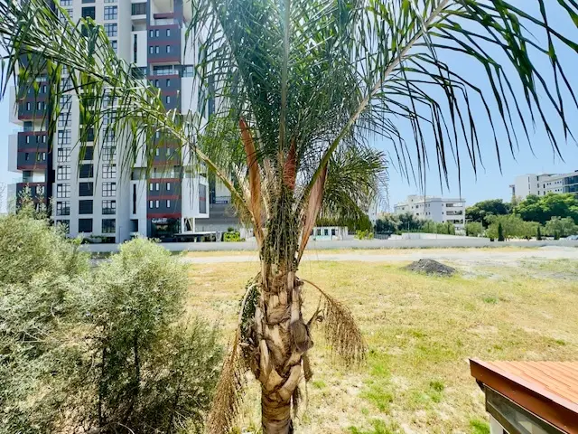 2 bedrooms Villa in Germasogeia, Cyprus No. 4560