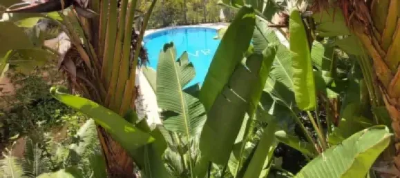 2 bedrooms Penthouse in Marbella, Spain No. 113434 28