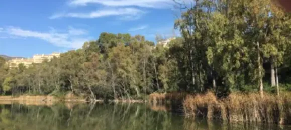 2 bedrooms Penthouse in Marbella, Spain No. 113434 31