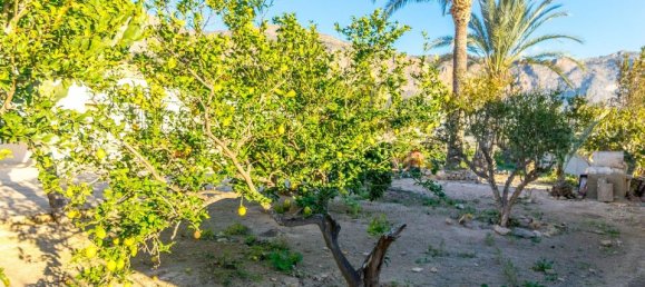 Дом с 4 спальнями в Аликанте, Испания № 185163 23