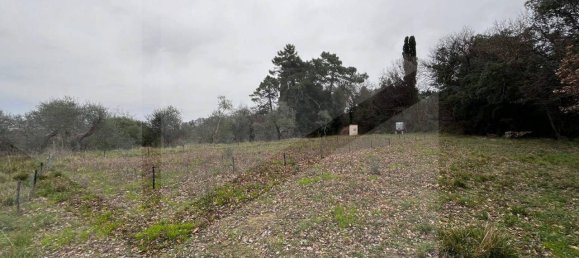 Grundstück in Casciana Terme Lari, Italy 15300m², Nr. 21345 7