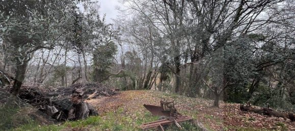 Grundstück in Casciana Terme Lari, Italy 15300m², Nr. 21345 9