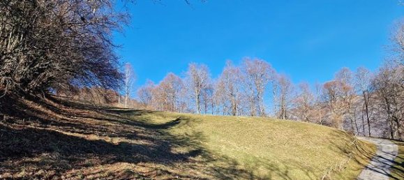 Studio in Occitanie, France, Nr. 304685 13