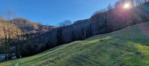 Studio in Occitanie, France, Nr. 304685 8