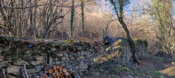 Studio in Occitanie, France, Nr. 304685 3