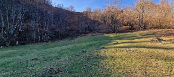 Studio in Occitanie, France, Nr. 304685 16