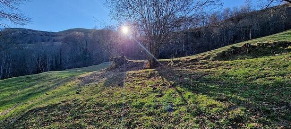 Studio in Occitanie, France, Nr. 304685 6