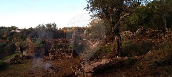 Casa de 2 dormitorios en Chao de Couce, Portugal No. 19473 5