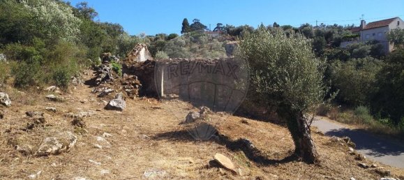 Casa de 2 dormitorios en Chao de Couce, Portugal No. 19473 10
