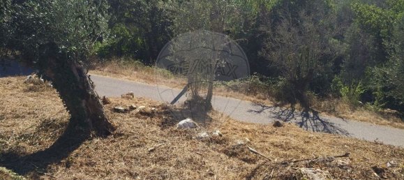 Casa de 2 dormitorios en Chao de Couce, Portugal No. 19473 11