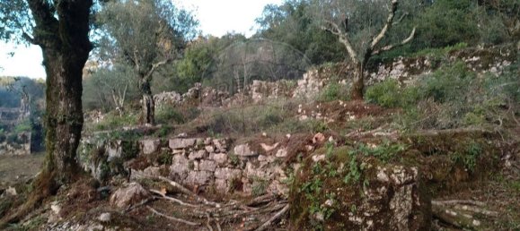 Casa de 2 dormitorios en Chao de Couce, Portugal No. 19473 2