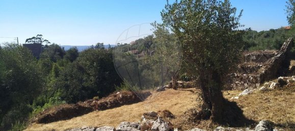 Casa de 2 dormitorios en Chao de Couce, Portugal No. 19473 19