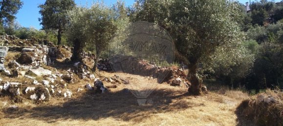 Casa de 2 dormitorios en Chao de Couce, Portugal No. 19473 15