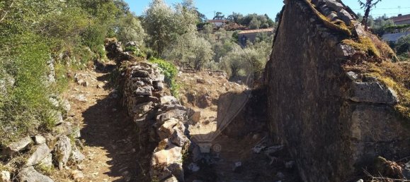 Casa de 2 dormitorios en Chao de Couce, Portugal No. 19473 12
