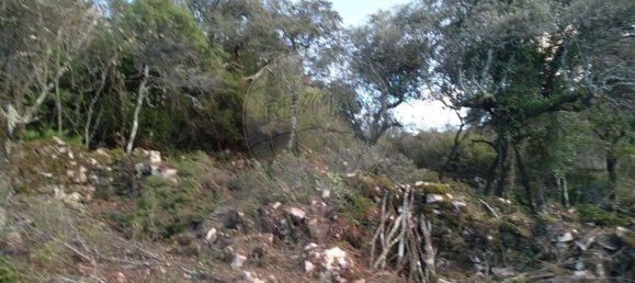 Casa de 2 dormitorios en Chao de Couce, Portugal No. 19473 4